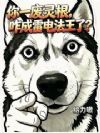 ��һ�������զ���׵編���ˣ�